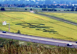 Crop circle created in France (Lorraine) - Marly, near Metz - June 2008
