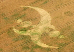 Crop circle created in France (Lorraine) - Sarraltroff, near Sarrebourg - July 2008