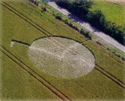 Agroglyphe formé en France (Bourgogne) - Juillet 2008