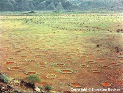 "Cercles de fées" en Namibie