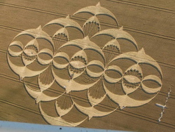 Formation completed with an imperfection at South Field - July 2008
