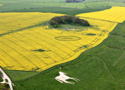 Formation between two mounds and close to the white horse of Devizes - April 29, 2009